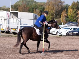 IMG_7218_web